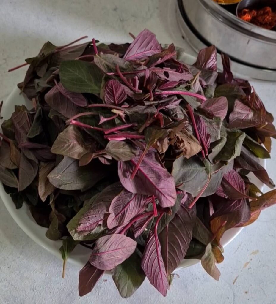 Red Amaranth Stir Fry Tambdi Bhaji Laal Maat Bhaji Vanita S Corner