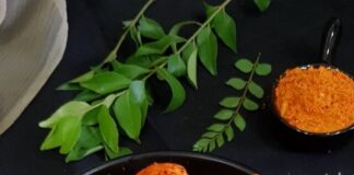 cropped-Mini-Masala-Idlis.jpg