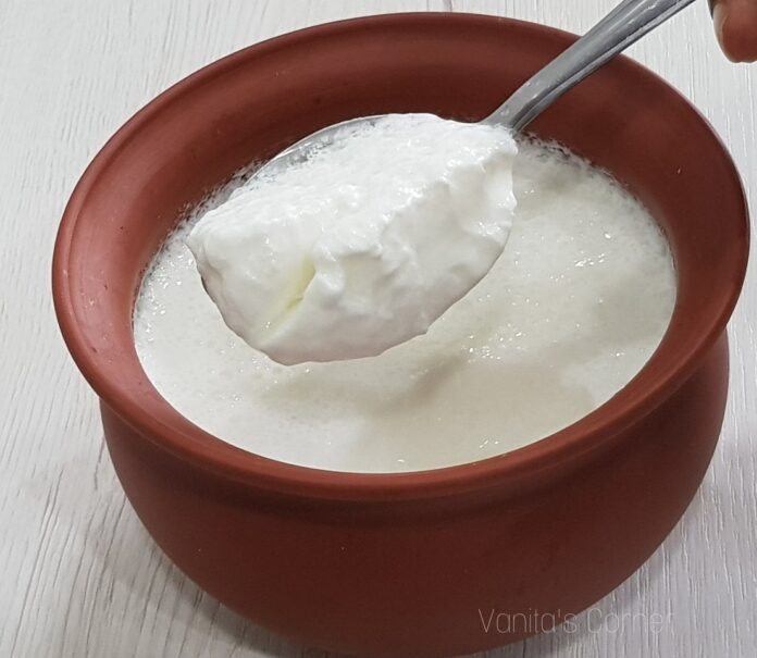 Making curd at home