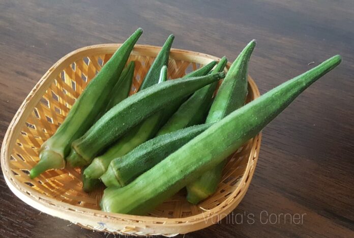 Growing bhindi