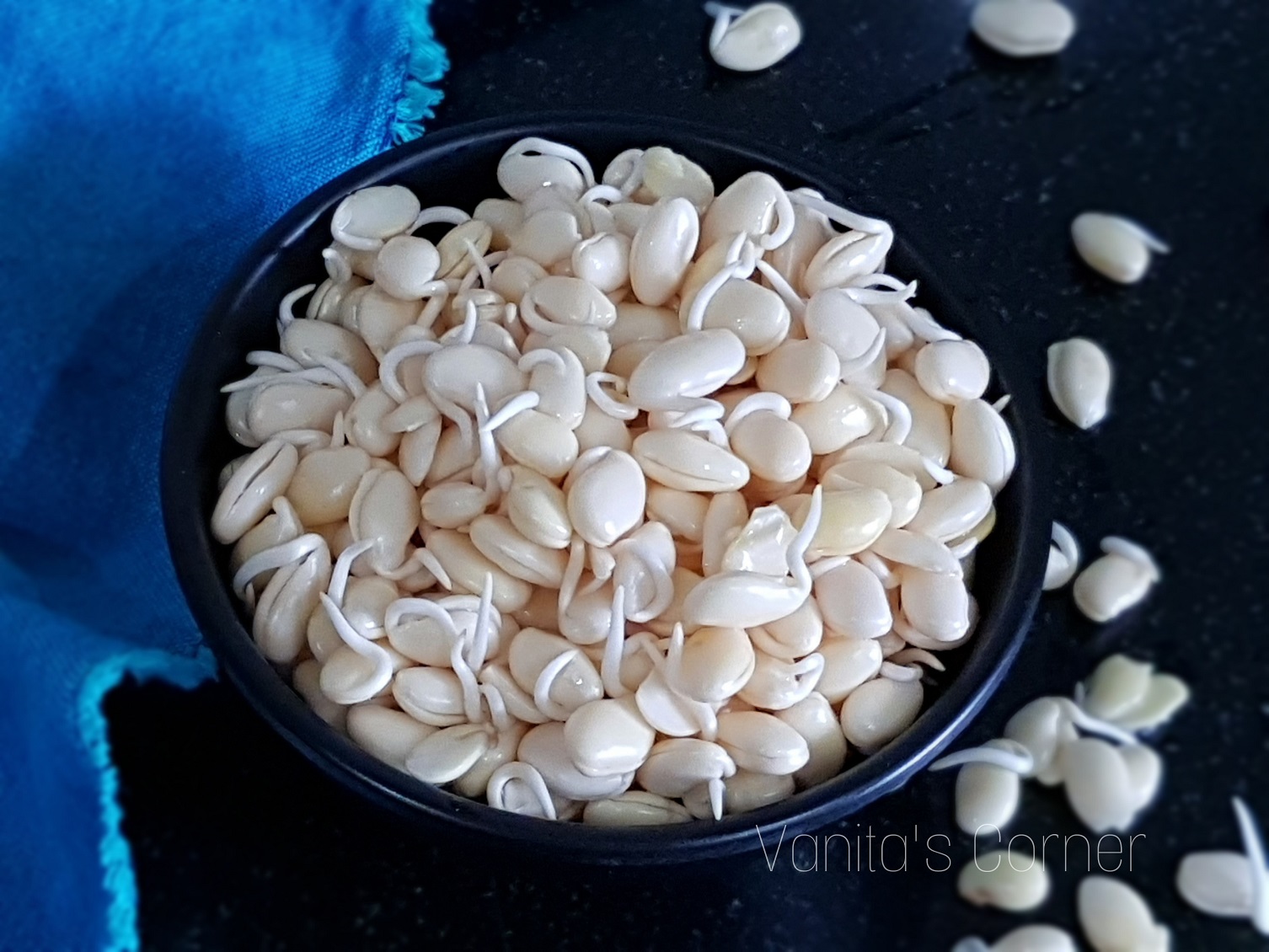 Sprouting Of Lima Beans How To Sprout And Peel Vaal Vanita s Corner